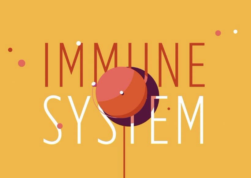 Immune System graphic